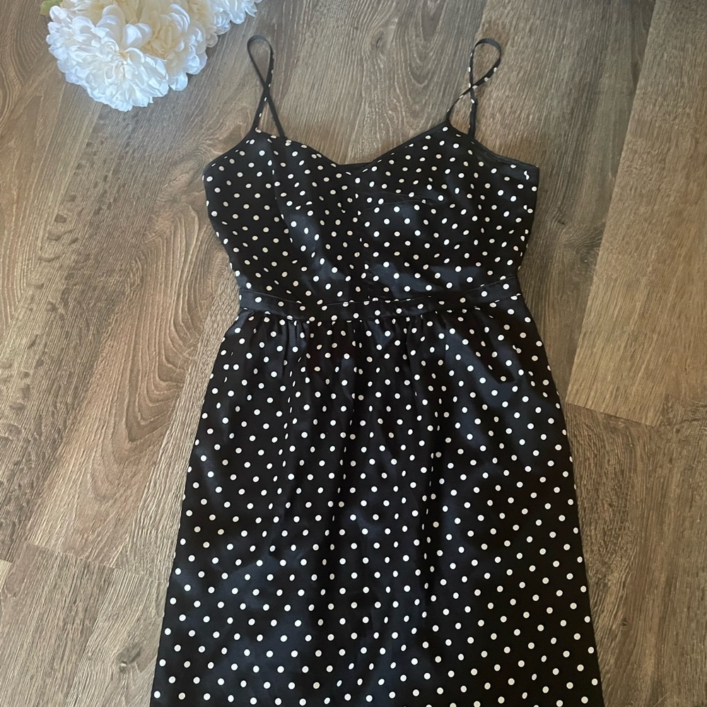 J. Crew Polka Dot Dress